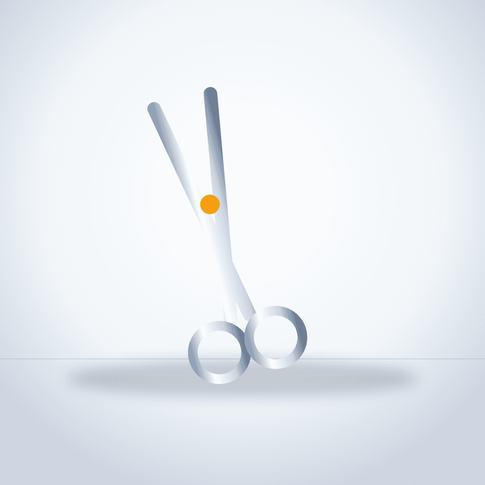 Professional Hair Scissors